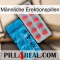 Männliche Erektionspillen new14
